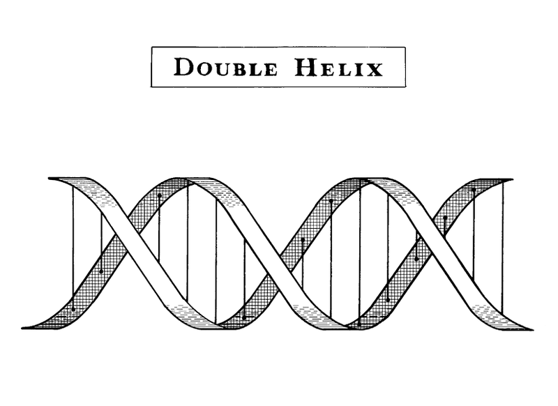 Illustration for article titled An Excerpt from Dave Goldberg's “Universe in the Rearview Mirror”